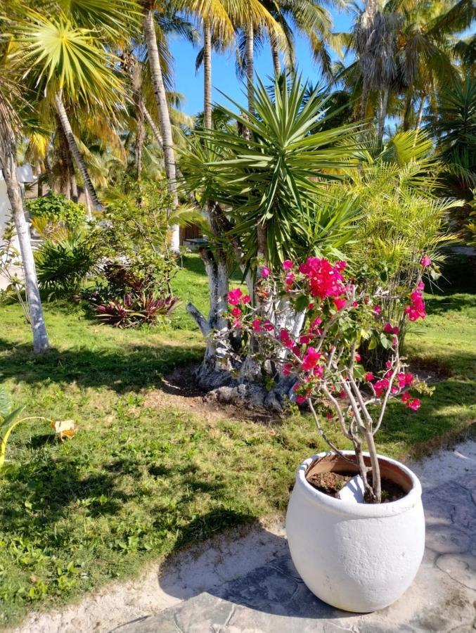 Alito Tulum Hotel Ngoại thất bức ảnh