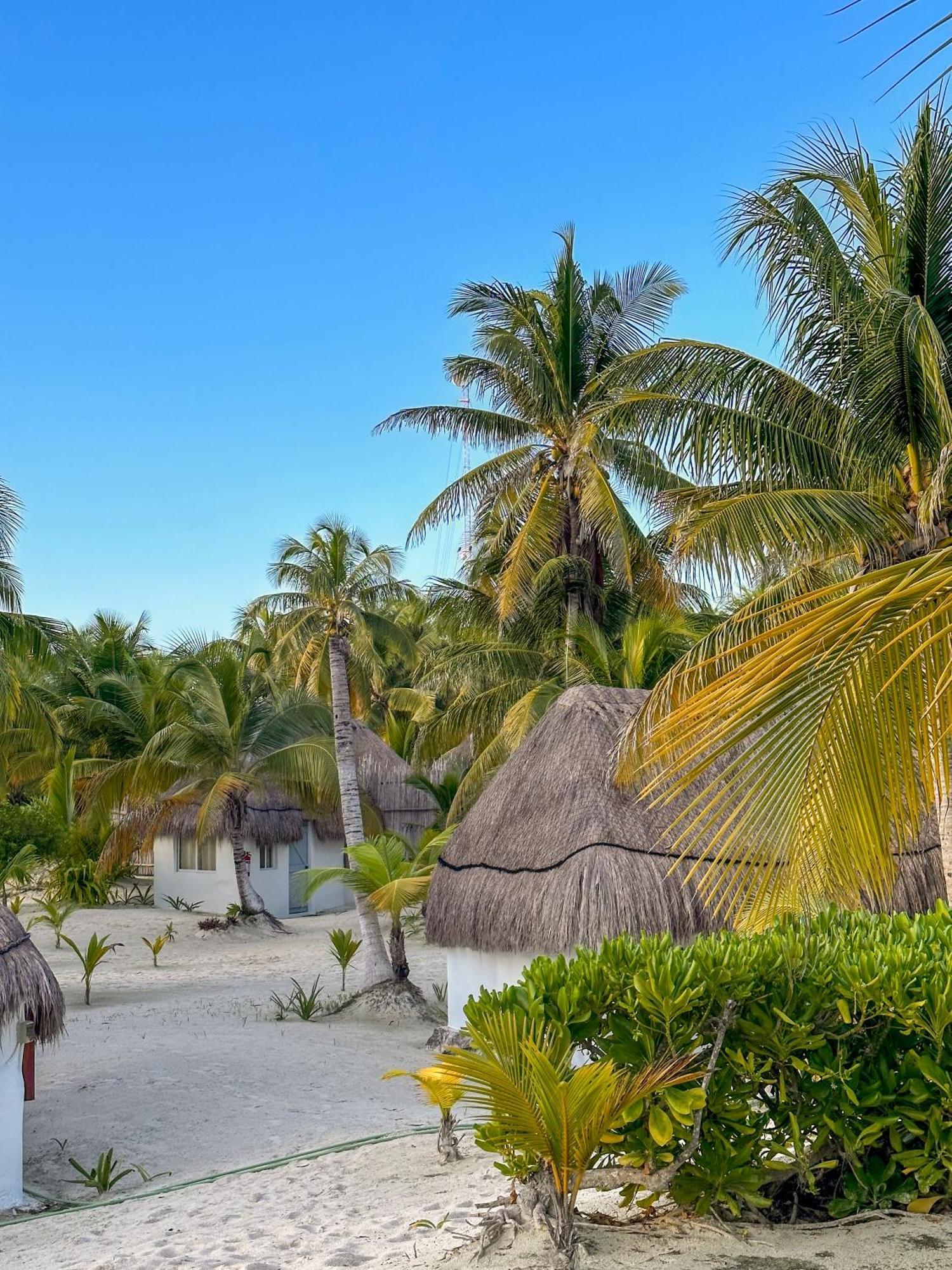 Alito Tulum Hotel Ngoại thất bức ảnh