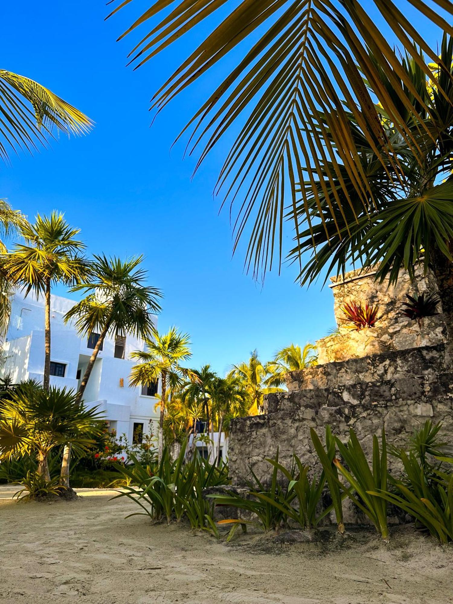 Alito Tulum Hotel Ngoại thất bức ảnh