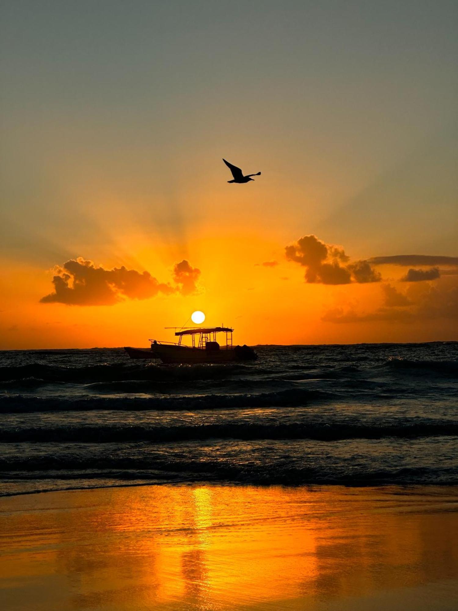 Alito Tulum Hotel Ngoại thất bức ảnh