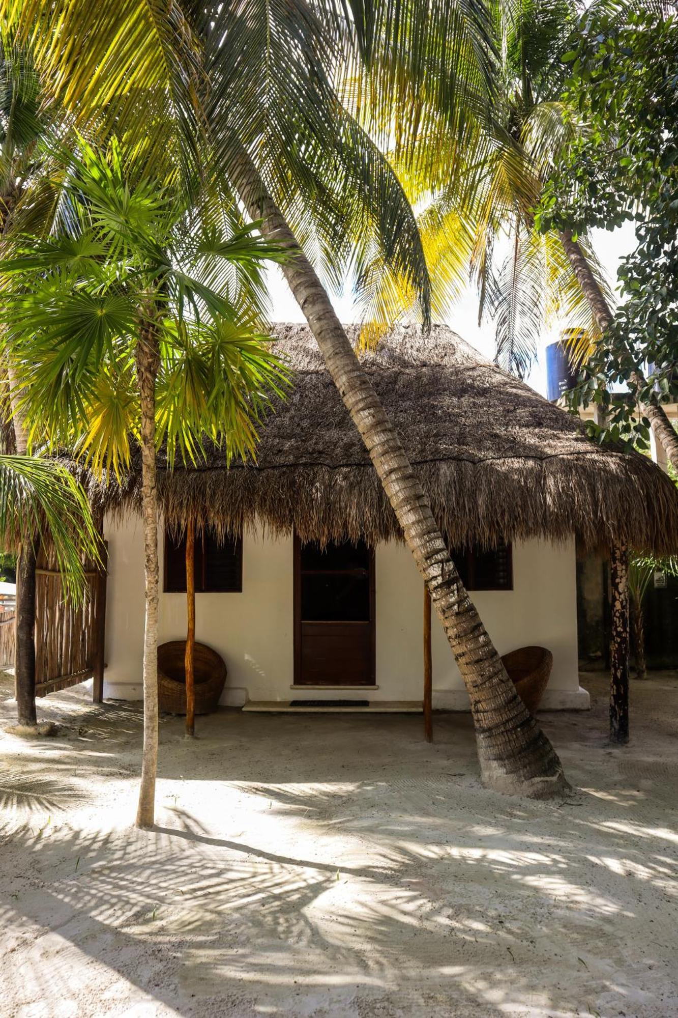 Alito Tulum Hotel Ngoại thất bức ảnh